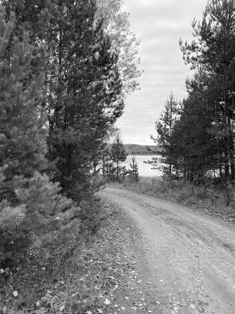 Photograph by Швай Наталья