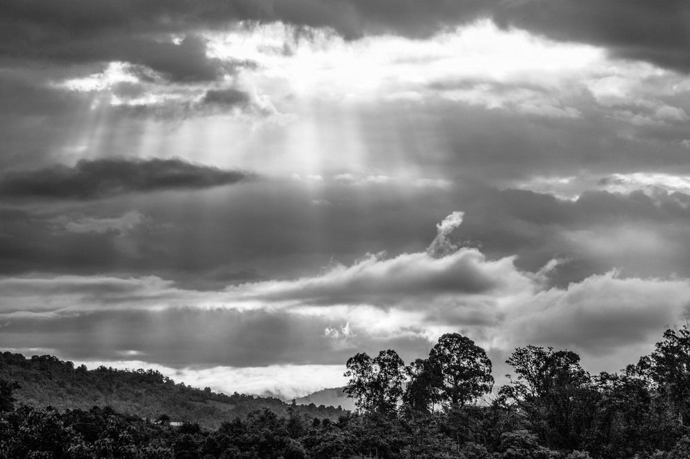 Photograph by Ольга Долгополова