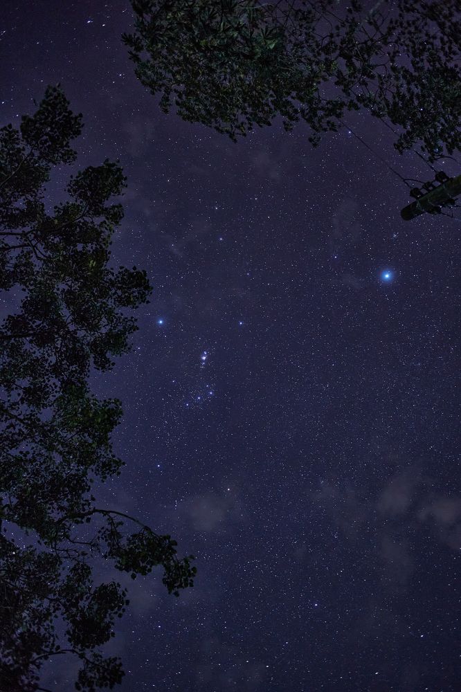 Photograph by Luis Manuel Jiménez Tabares