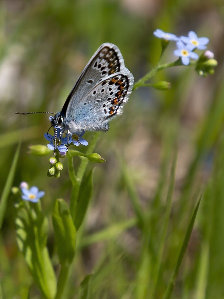 Photograph by Олег Тетерин