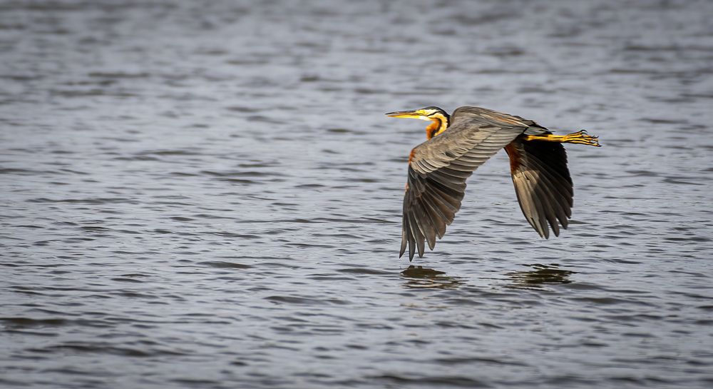 Photograph by M.I.M. Mahir