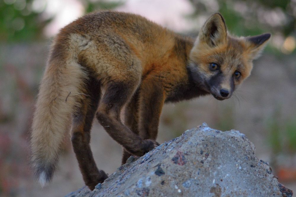 Photograph by Алексей Ильин