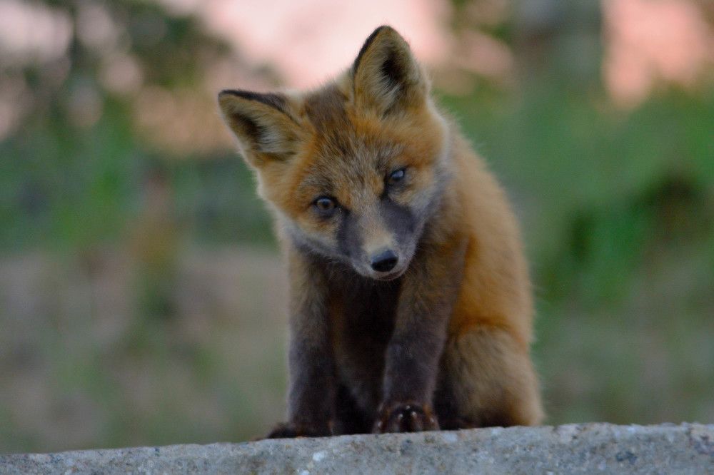 Photograph by Алексей Ильин