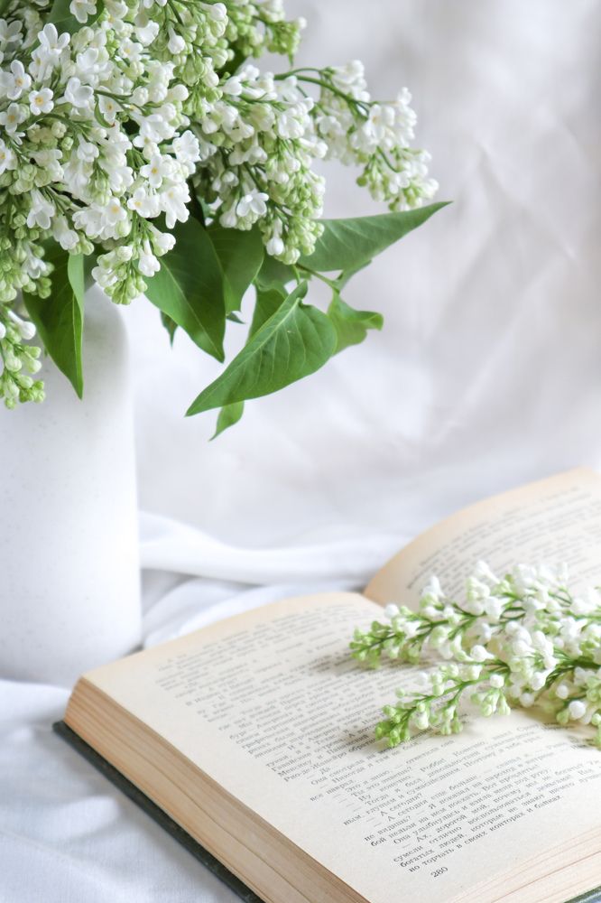 Photograph by Анна Чичилова