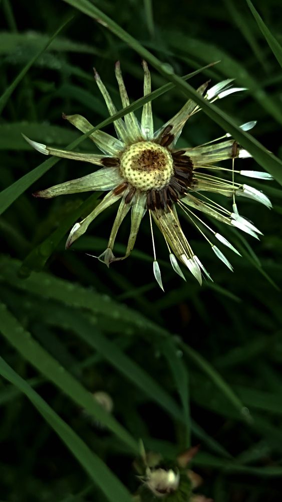 Photograph by Татьяна Власова