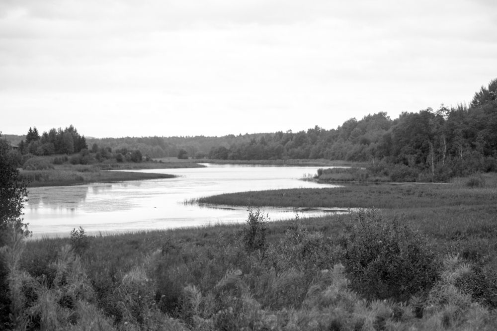 Photograph by Татьяна Казакова