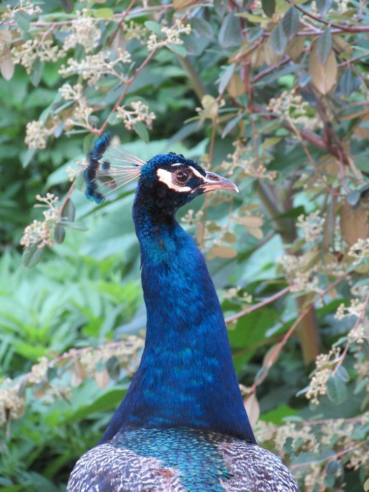 Photograph by Татьяна Васильева