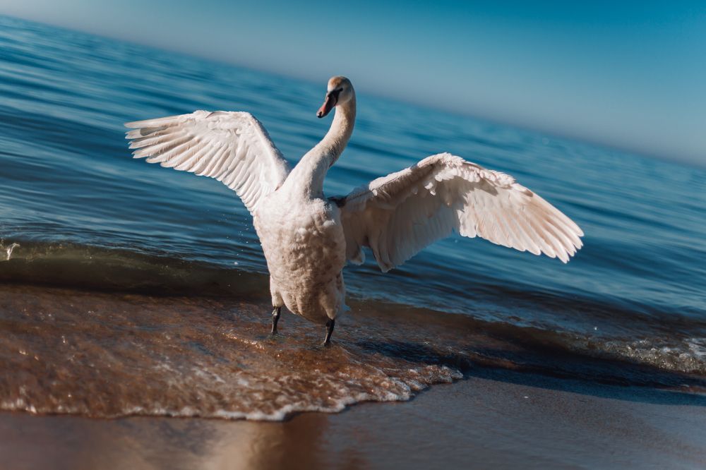 Photograph by Анна Гвоздовская