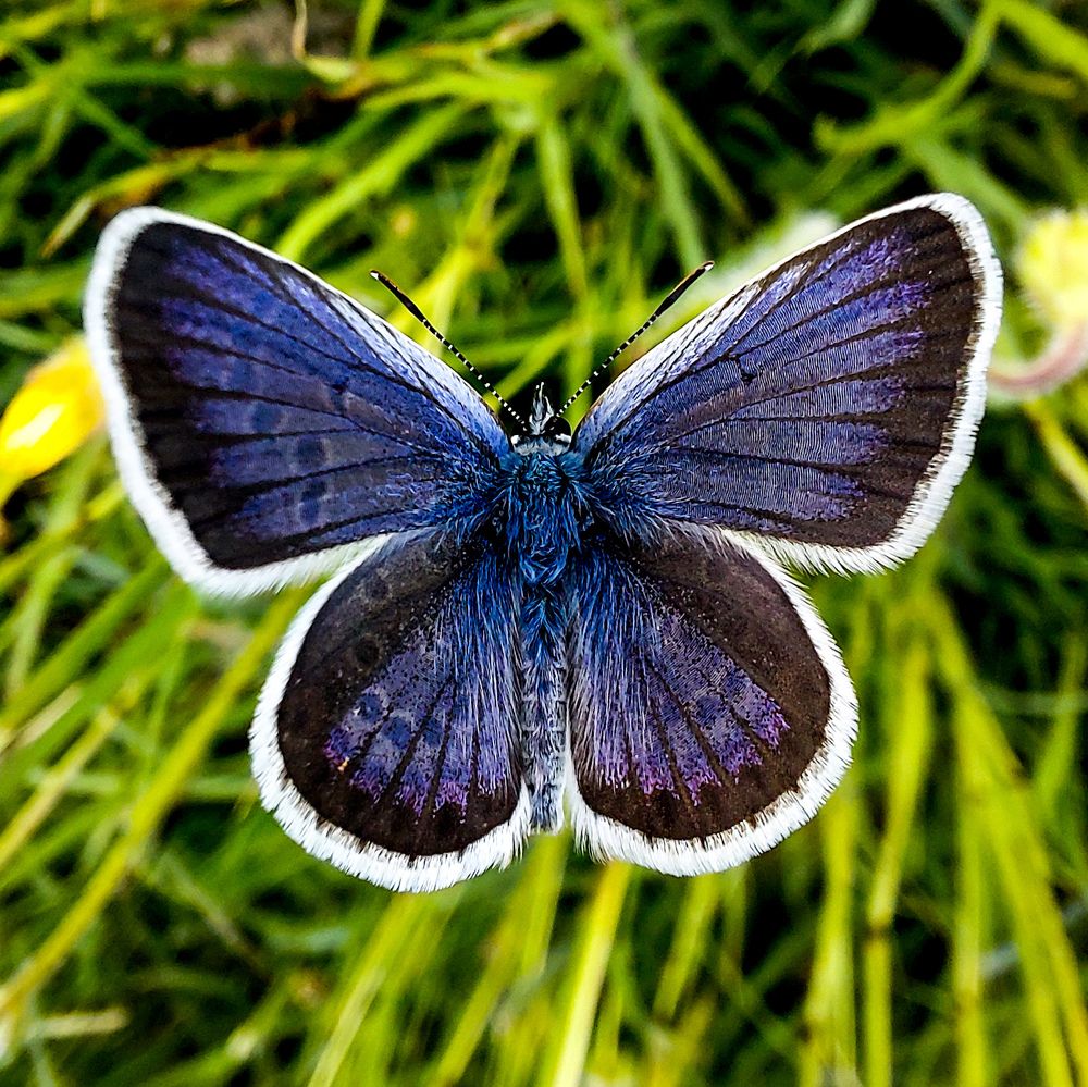 Photograph by Diana-Alexandra Amărinei