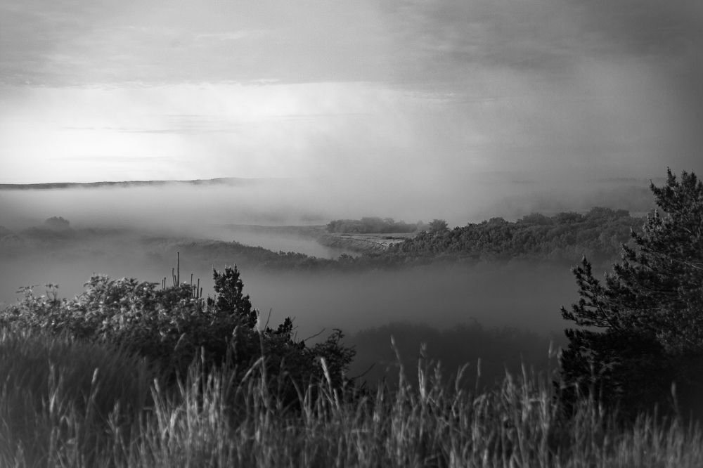 Photograph by Ирина Кооль