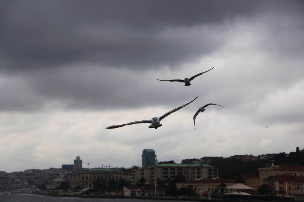 Фотография автора Oxana Yurasova