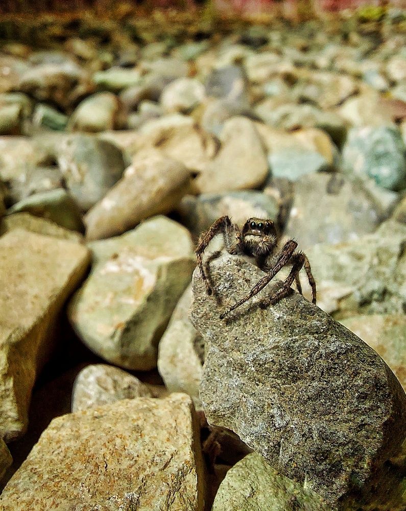 Photograph by yahya fathi