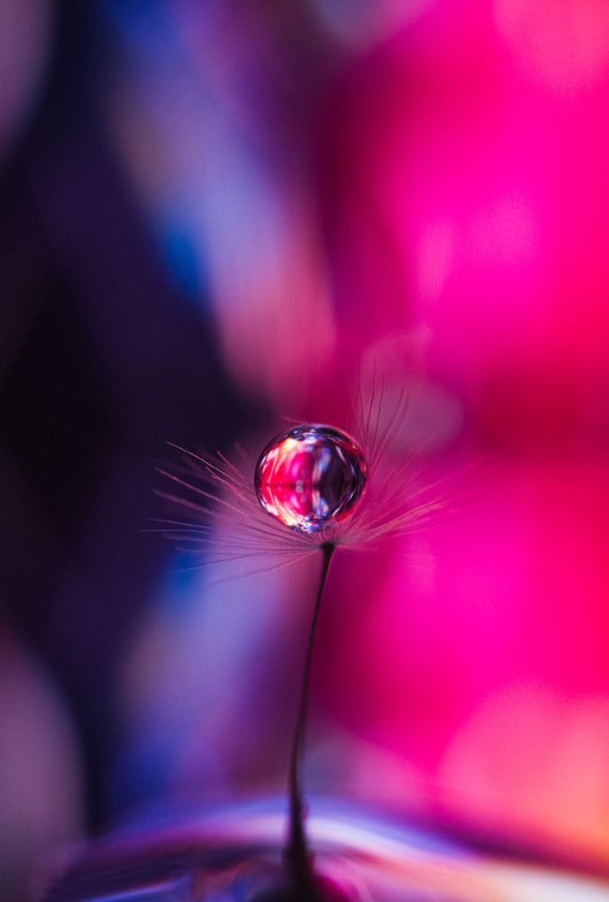 Photograph by Алексей Крукович