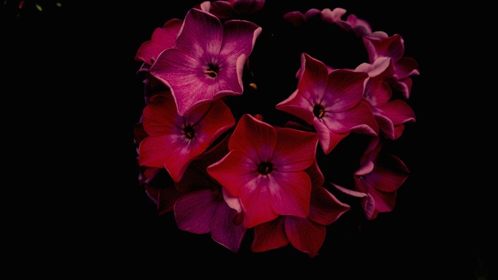 Фотография автора Eleonora