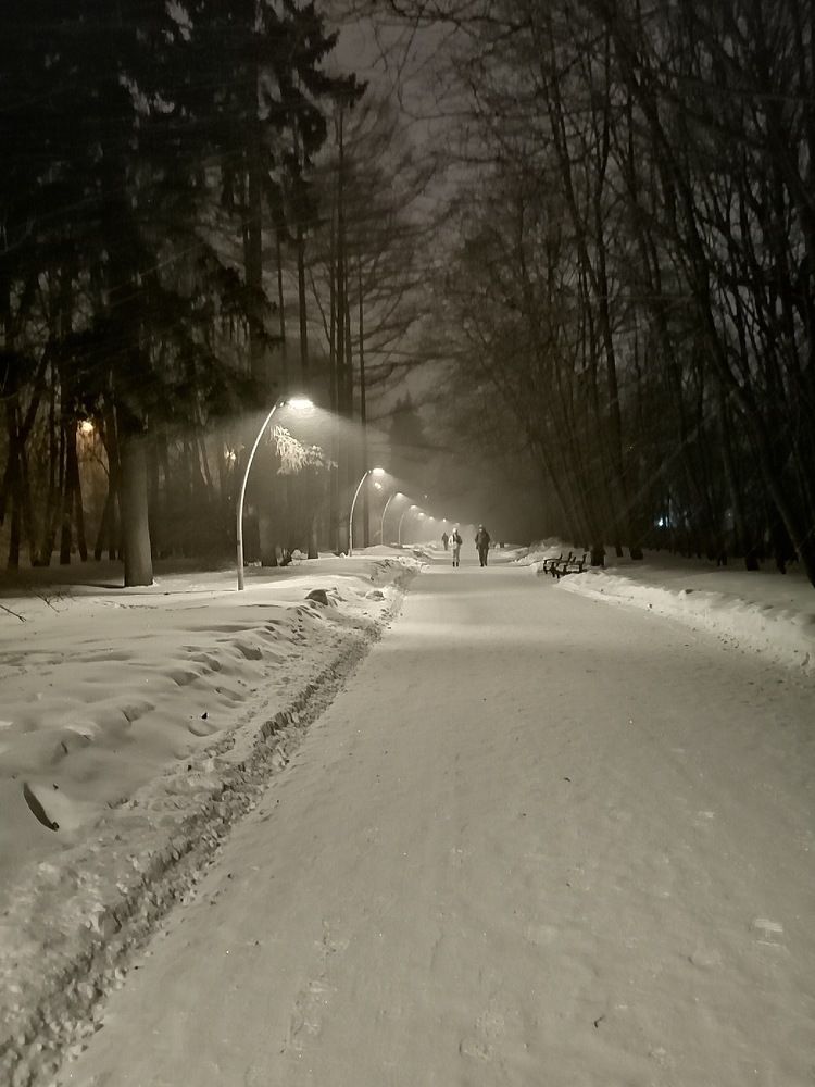 Photograph by Дмитрий Худоерко