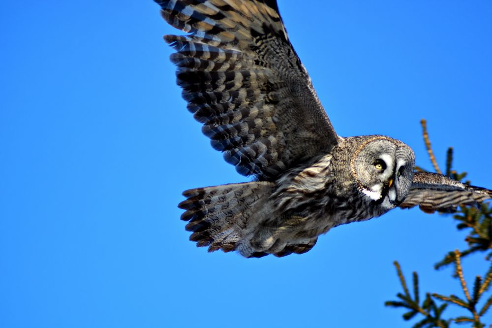 Photograph by Andrey