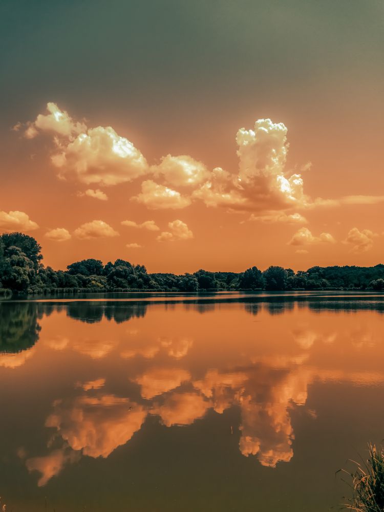 Фотография автора Nomin Jerabek