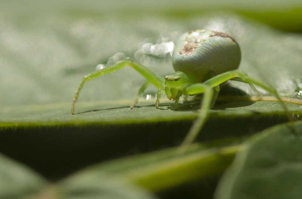 Photograph by Борис Саватюгин
