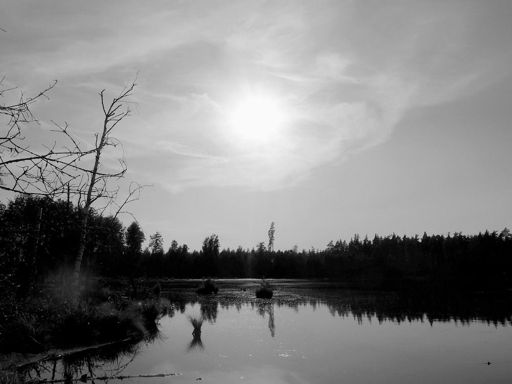 Озеро Смердячье.