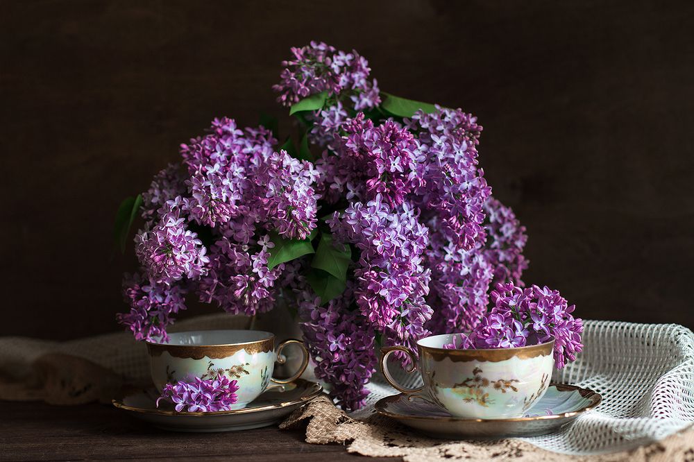 Photograph by Мария Шумилина