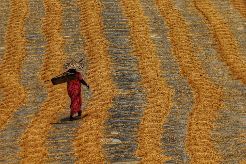 Woman walking by the lines.