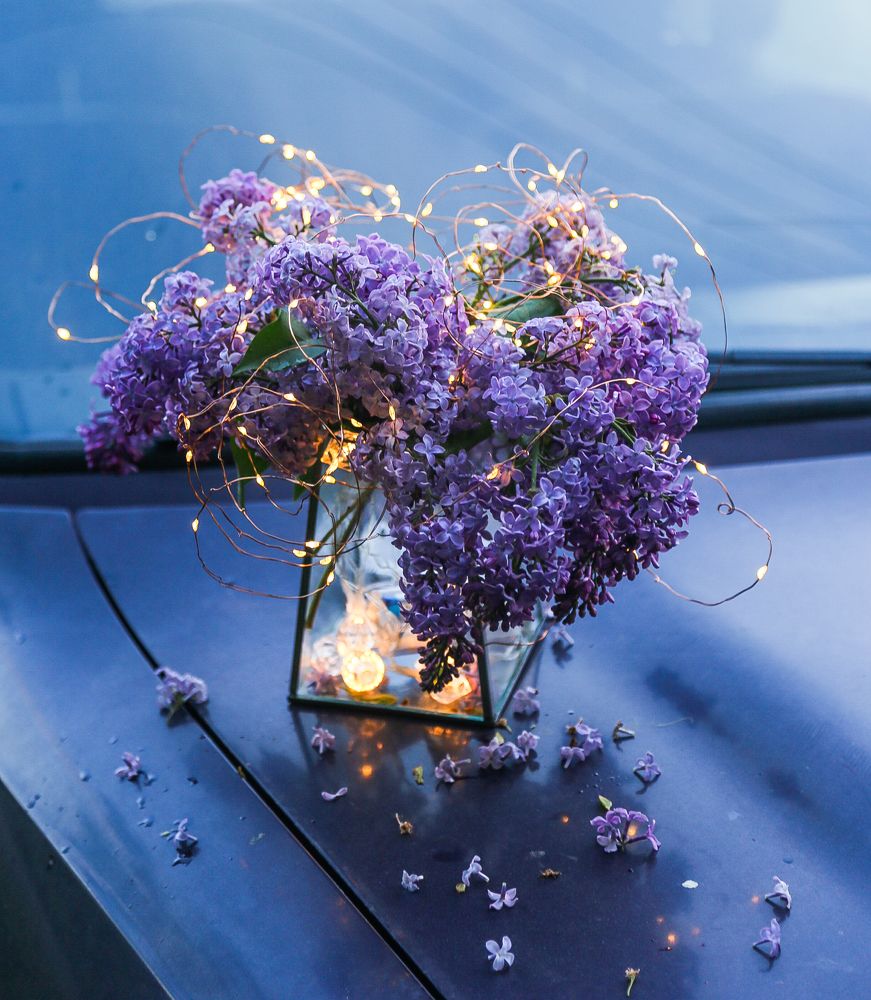 Photograph by Alesya Kopylova