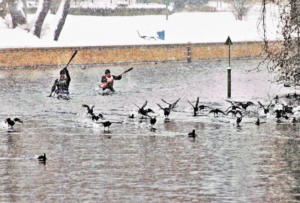 Photograph by Сергей Журавлев