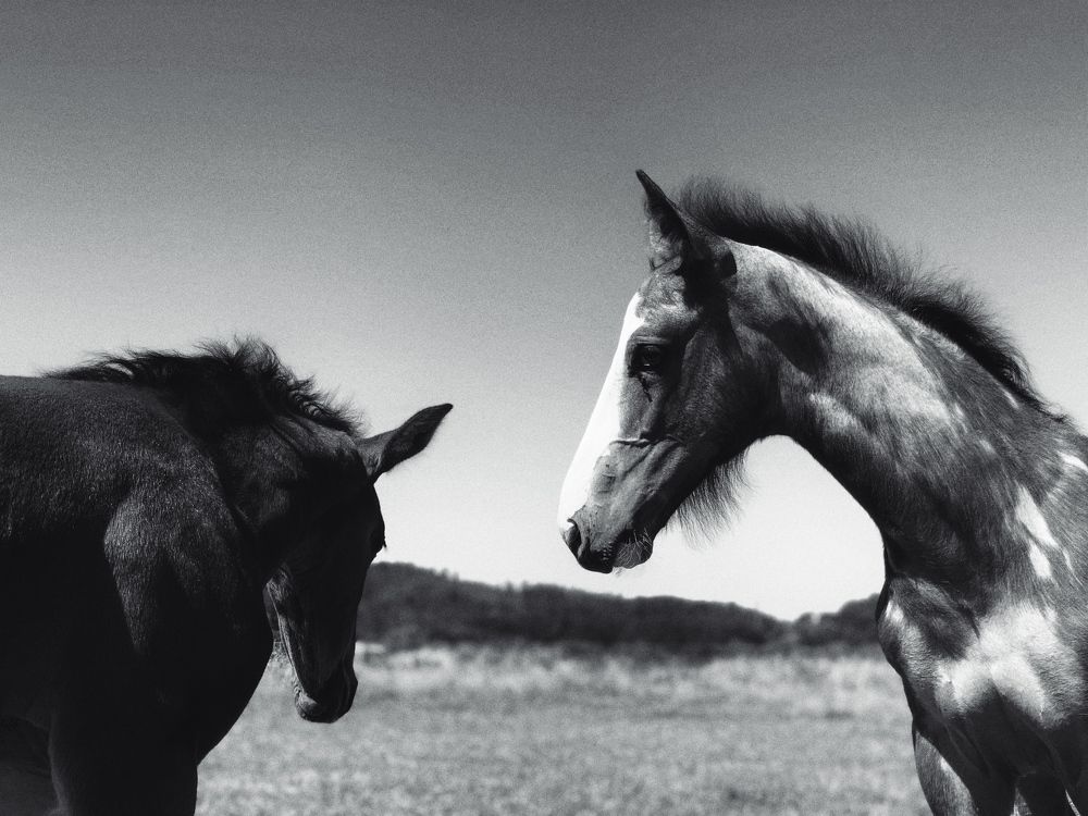 Photograph by Zosia Brońka