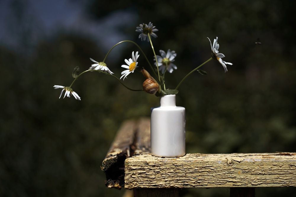 Photograph by Ирина Ксензова