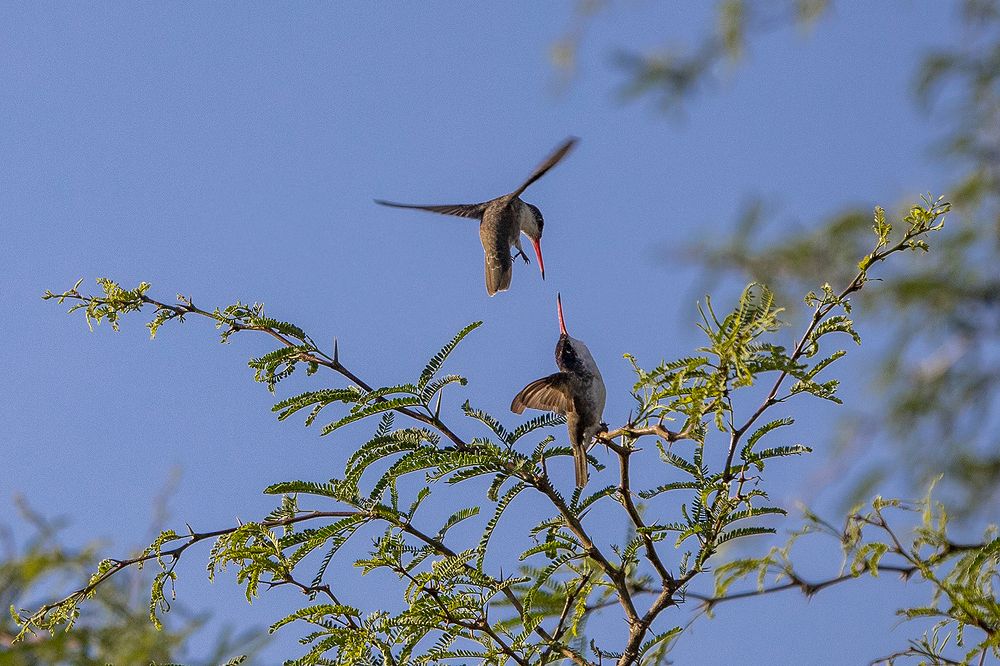 Photograph by Eric Blanc