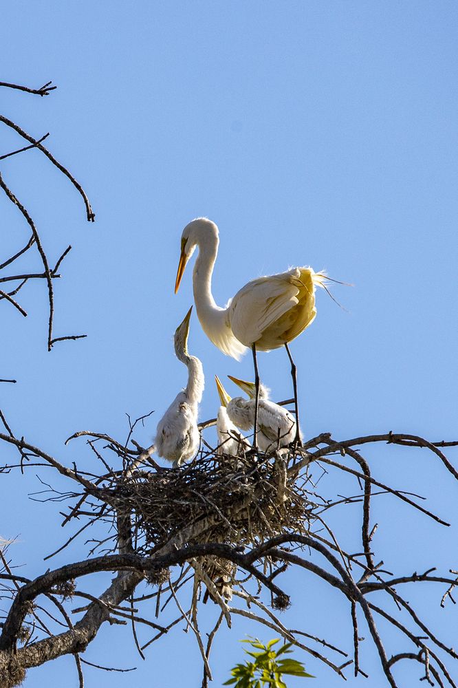 Photograph by Eric Blanc