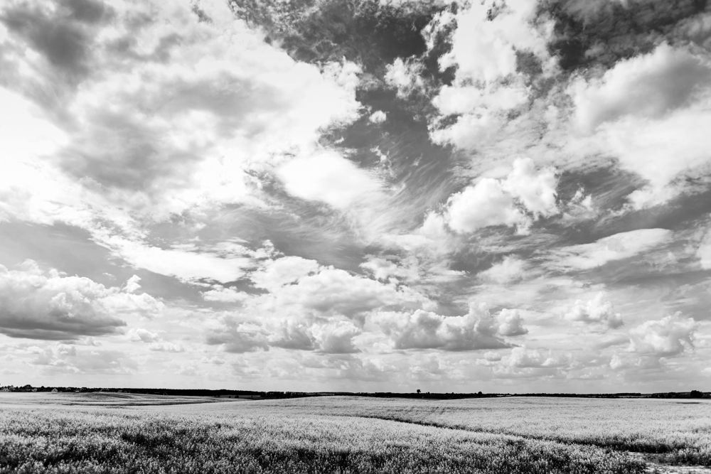 Фотография автора Наталья Татаринова