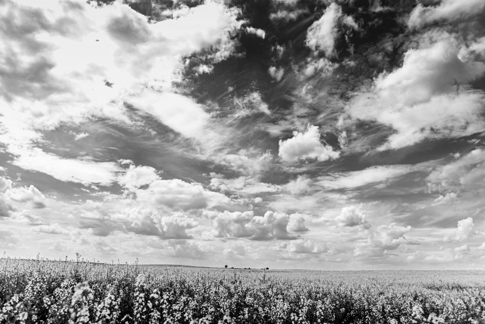 Фотография автора Наталья Татаринова