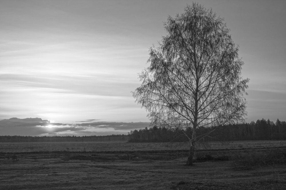 Photograph by Валерий