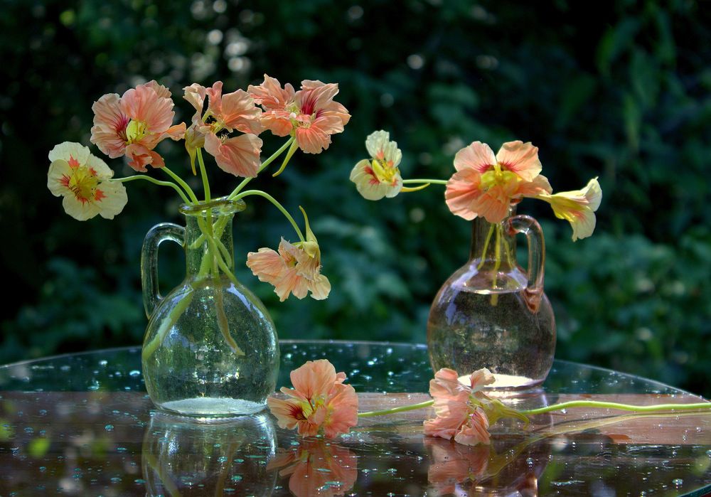 Photograph by Наталья Хохлова