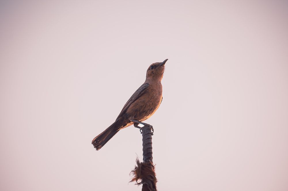 Photograph by Sardar Vaibhavraj Ramkar