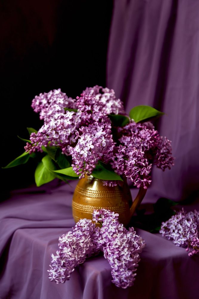 Photograph by Kristina Nutautiene