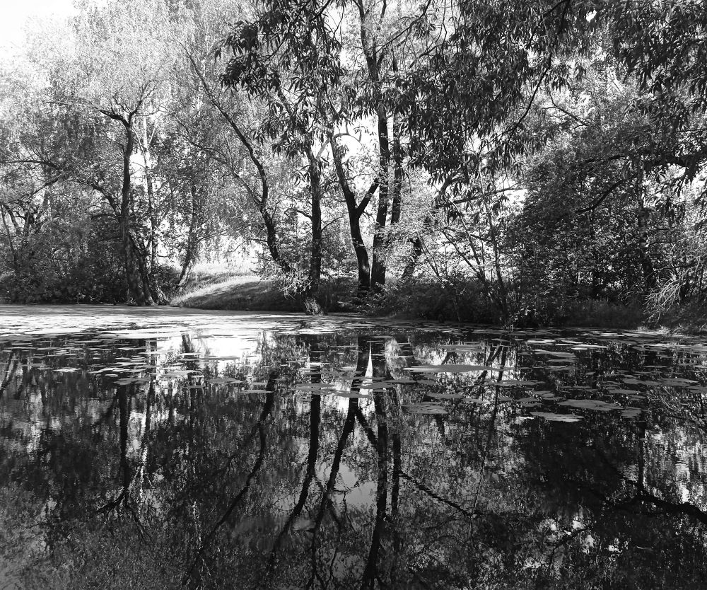 Photograph by Вадим Беляев