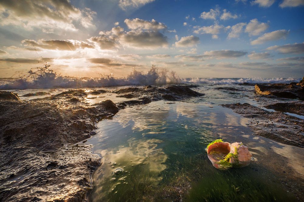 Photograph by Виктория Солодар