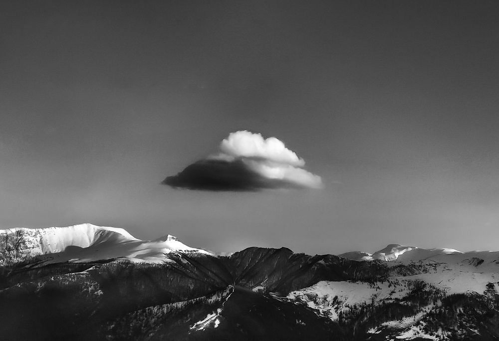 Photo #7745399