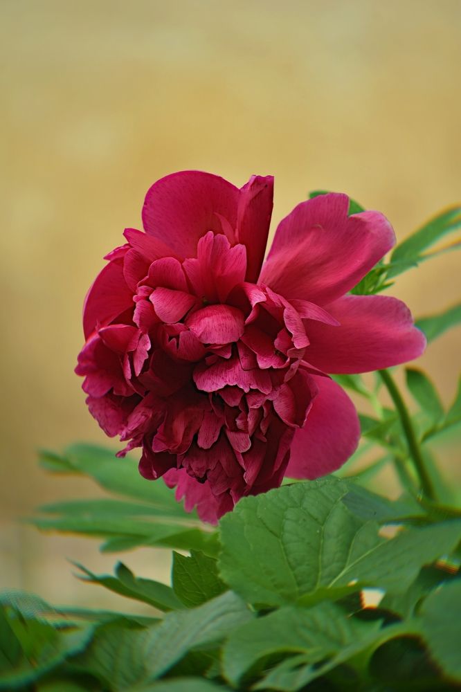 Photograph by Волков Александр