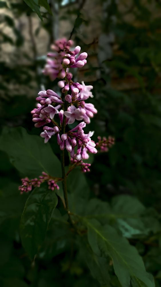 Photograph by Татьяна Власова