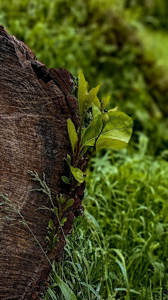 Photograph by Татьяна Власова