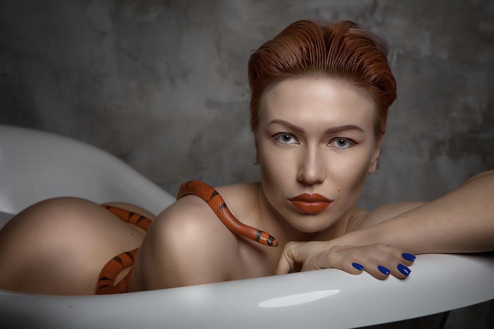 Фотография автора Дмитрий Вавилов