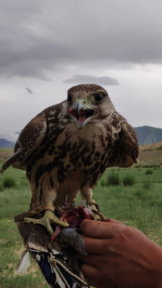 Photograph by Begaly Toktobaev