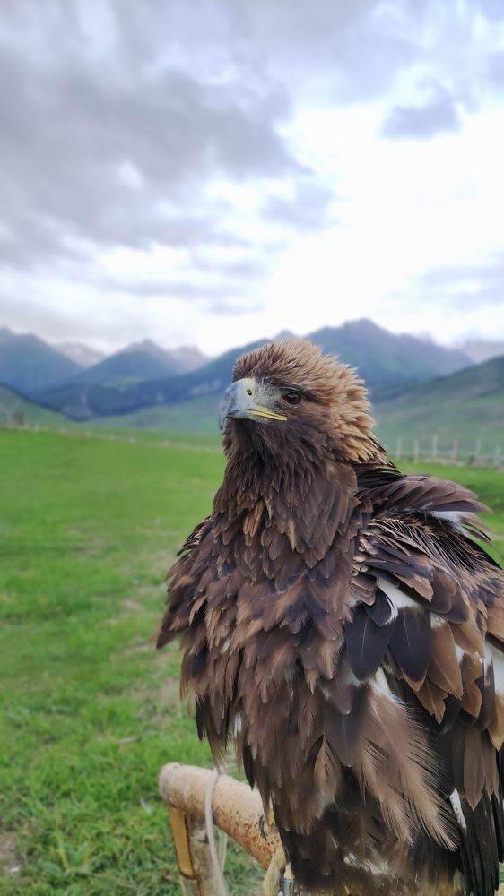 Photograph by Begaly Toktobaev