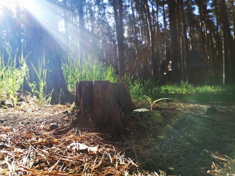 Photograph by Понкратов Иван