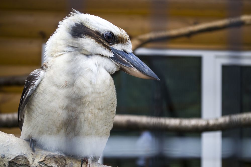 Photograph by Елизавета Большакова