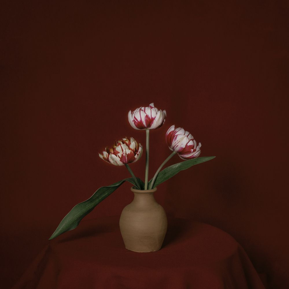 Фотография автора Марина Савчиц