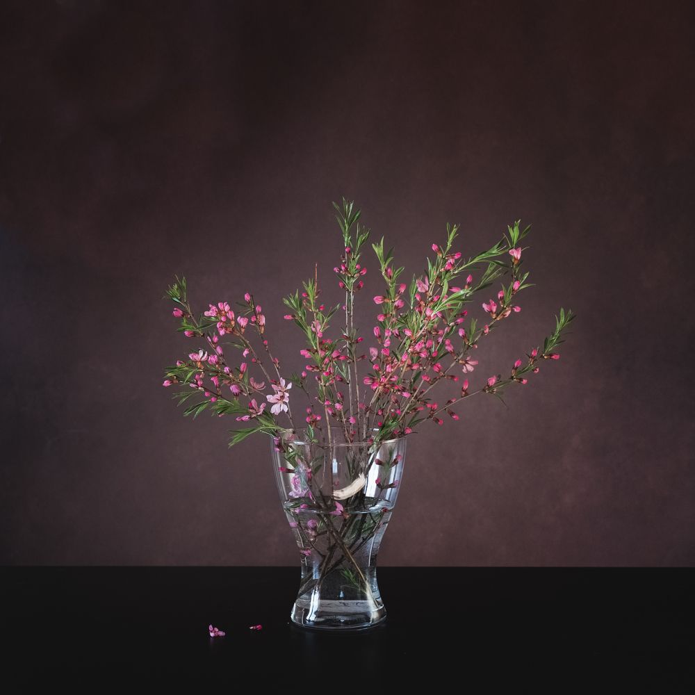 Фотография автора Марина Савчиц